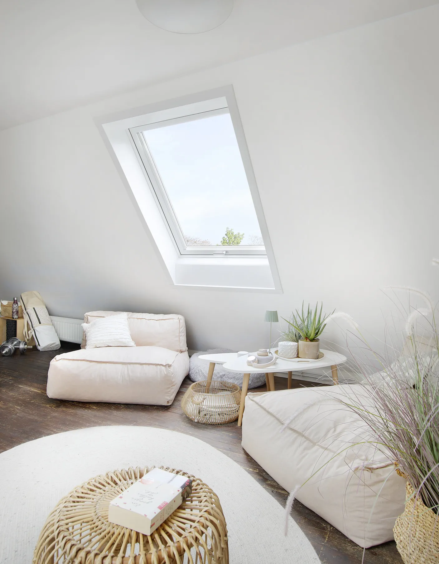 Fenster, Pflanze, Drinnen, Wohnzimmer, Zimmer, Fenster, Pflanze, Drinnen, Wohnzimmer, Zimmer, Fenster, Pflanze, Drinnen, Wohnzimmer, Zimmer, Fenster, Pflanze, Drinnen, Wohnzimmer, Zimmer